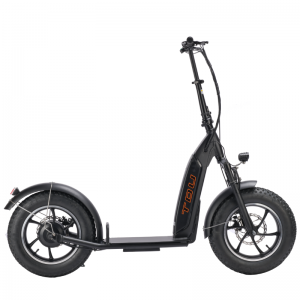 LOHAS-Electric Scooter vs Electric Bike: Which One Should You Get?