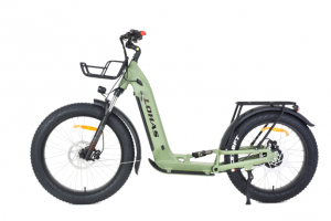 LOHAS-How Do I Know Which Electric Scooter to Buy?