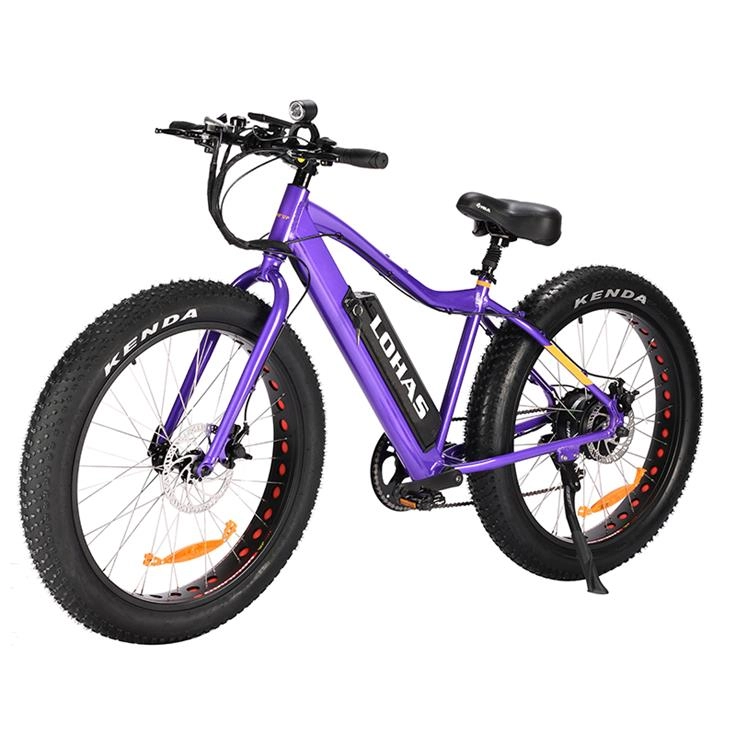 LOHAS-Best Electric Mountain Bike for Trail Riding (2025)