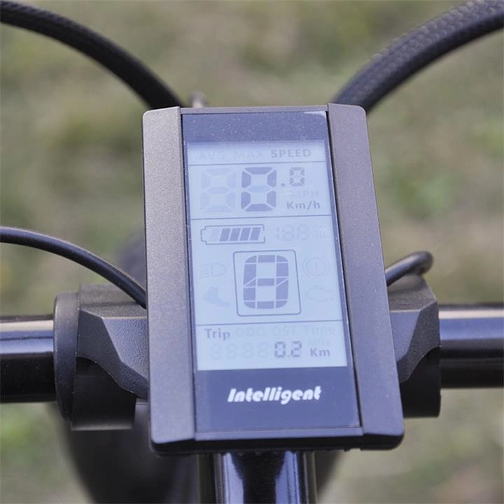 LOHAS-How to Charge Your E-bike?