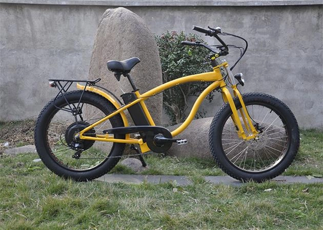 LOHAS-How to Know It’s Time to Replace Your E-Bike Battery