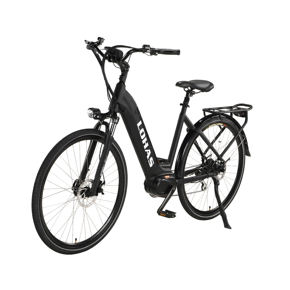 LOHAS-How Far Can an Electric Bike Go in Winter or Hot Weather Conditions