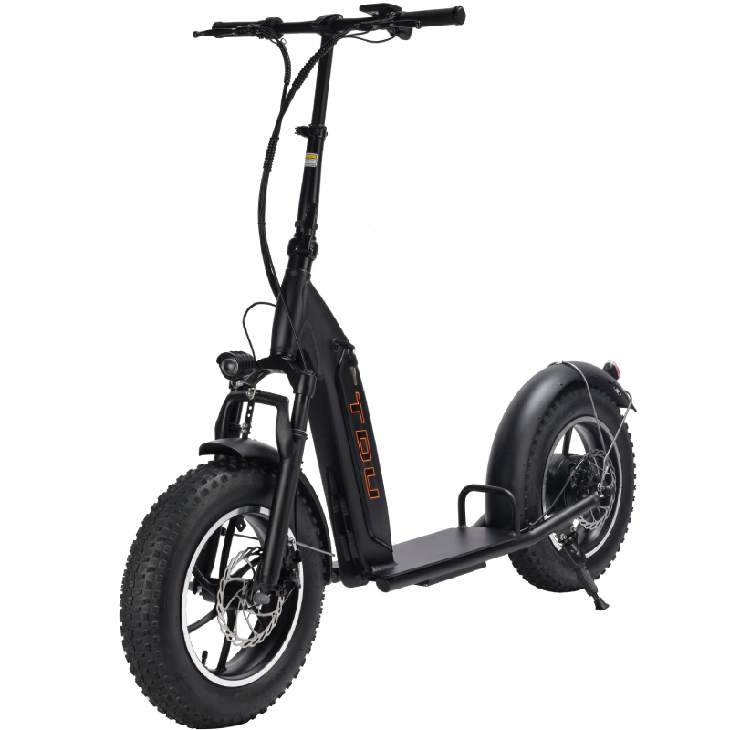 1Electric Scooters