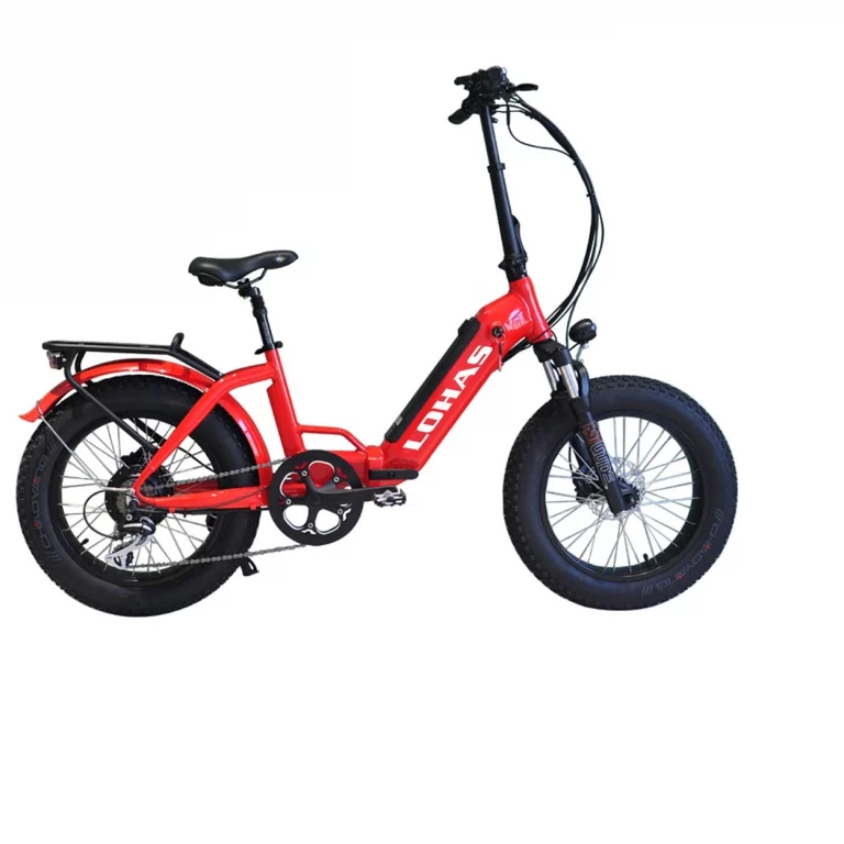 Electric Bikes vs