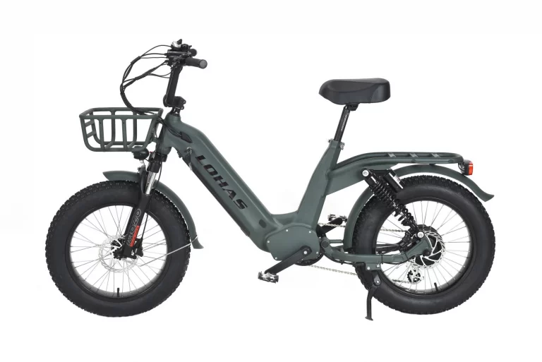 image1E-Bike