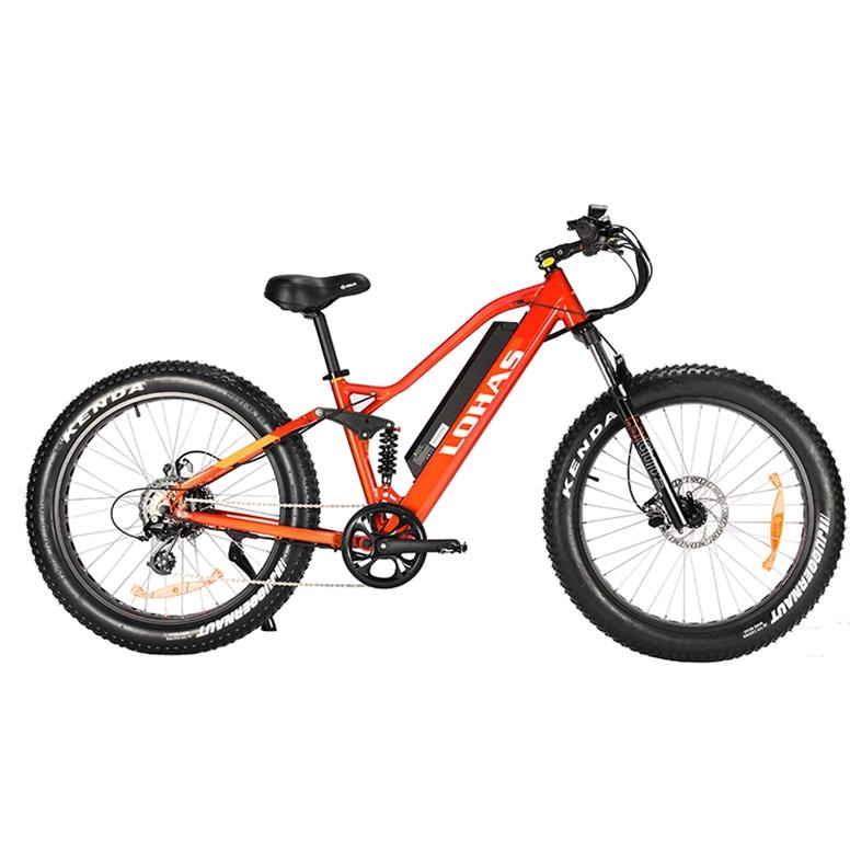 image1Electric Mountain Bike