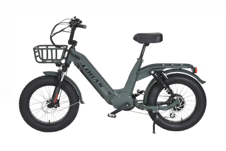 E-bike1