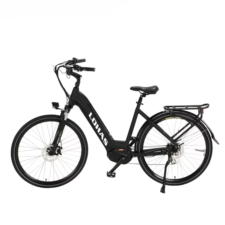image Electric Bike1