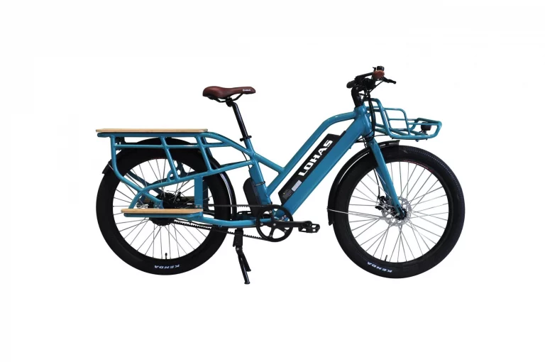 image Electric Bike1